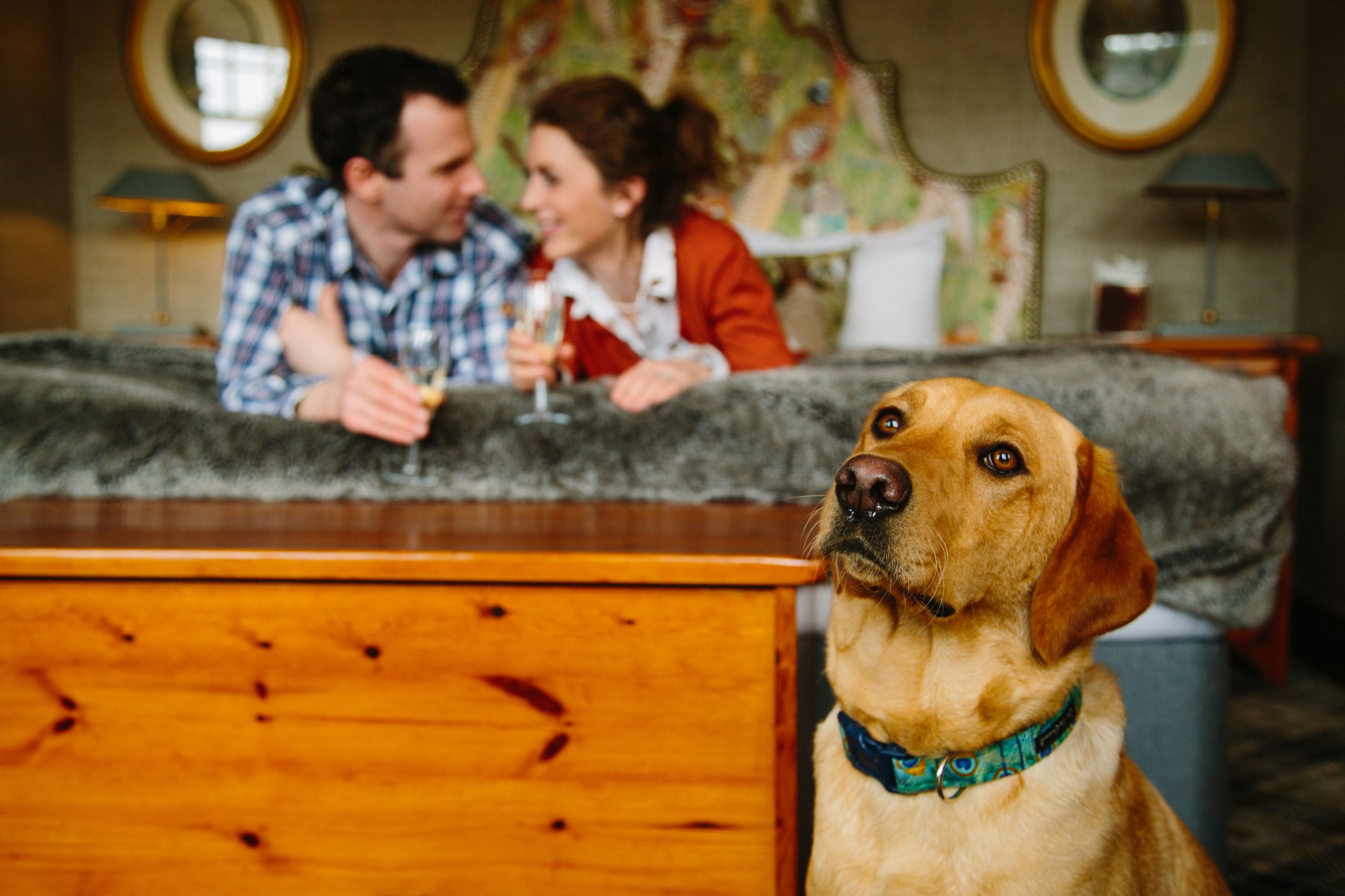 individually decorated, desk, laptop workspace, iron/ironing board