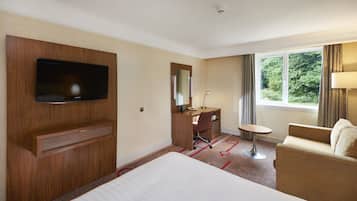 Habitación de hotel con cama, escritorio con silla, televisor, espejo, lámpara y ventana con vista a vegetación.
