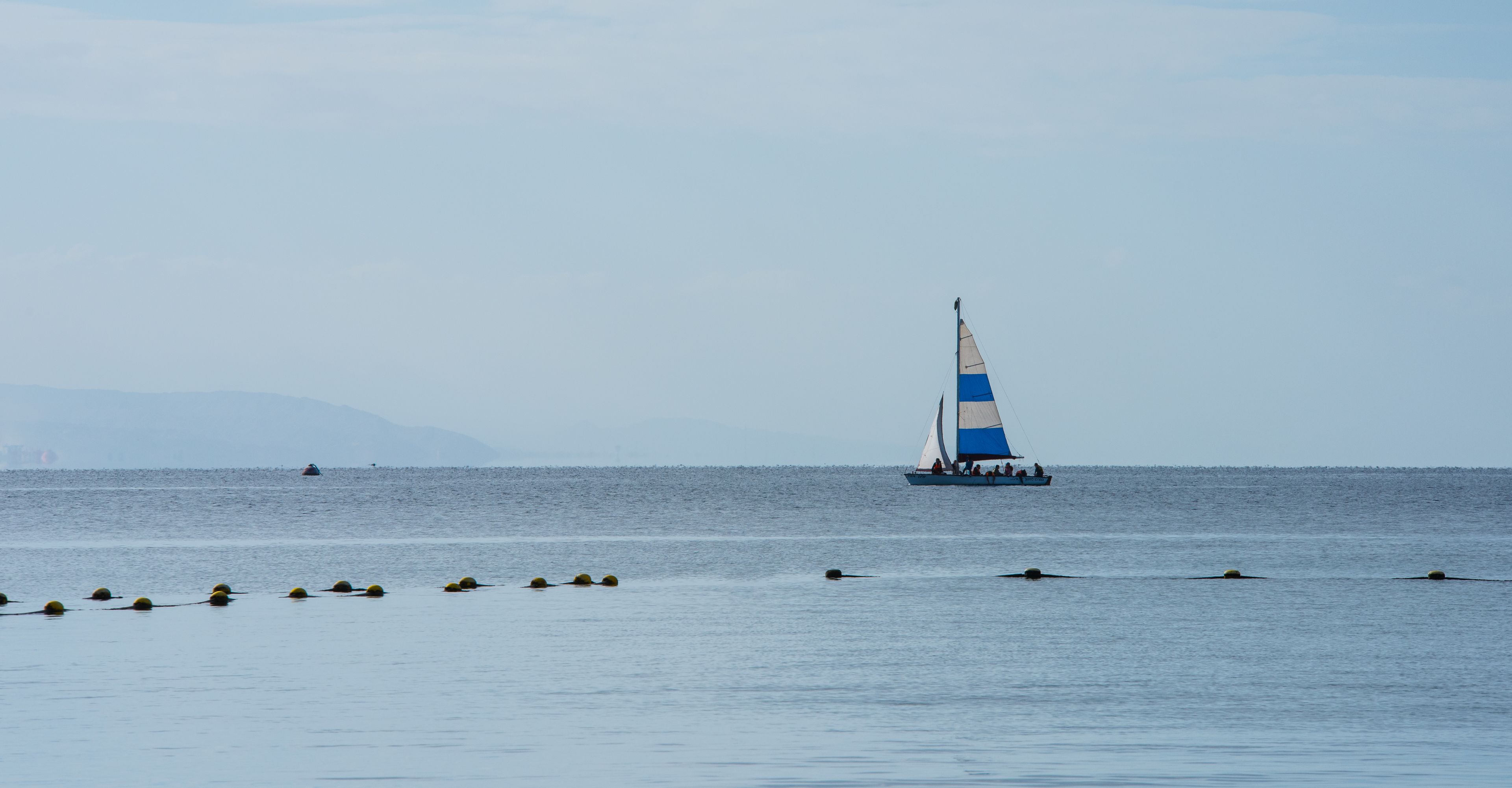 A sailboat with a blue and white sail on calm water.