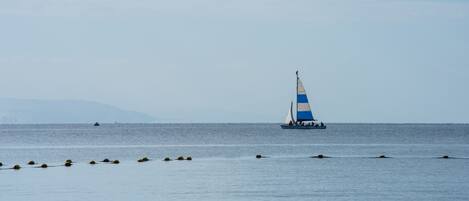 A sailboat with a blue and white sail on calm water.