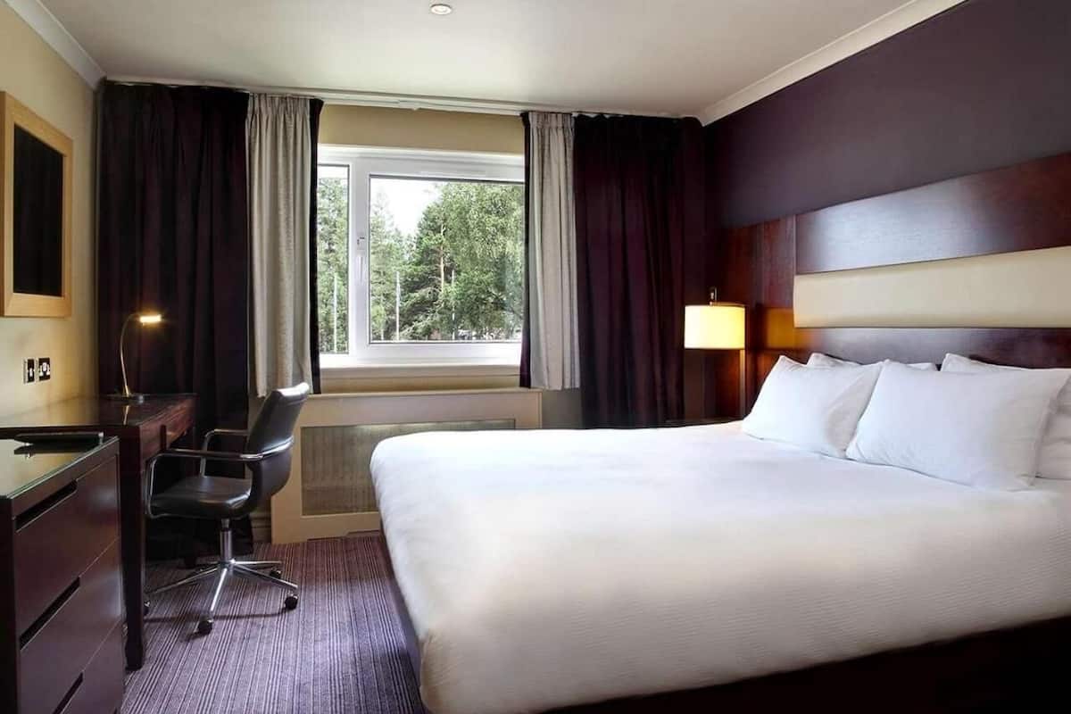 Quarto de hotel com uma cama grande, uma escrivaninha e uma cadeira. Há uma janela com cortinas, uma luminária e vista para árvores lá fora.