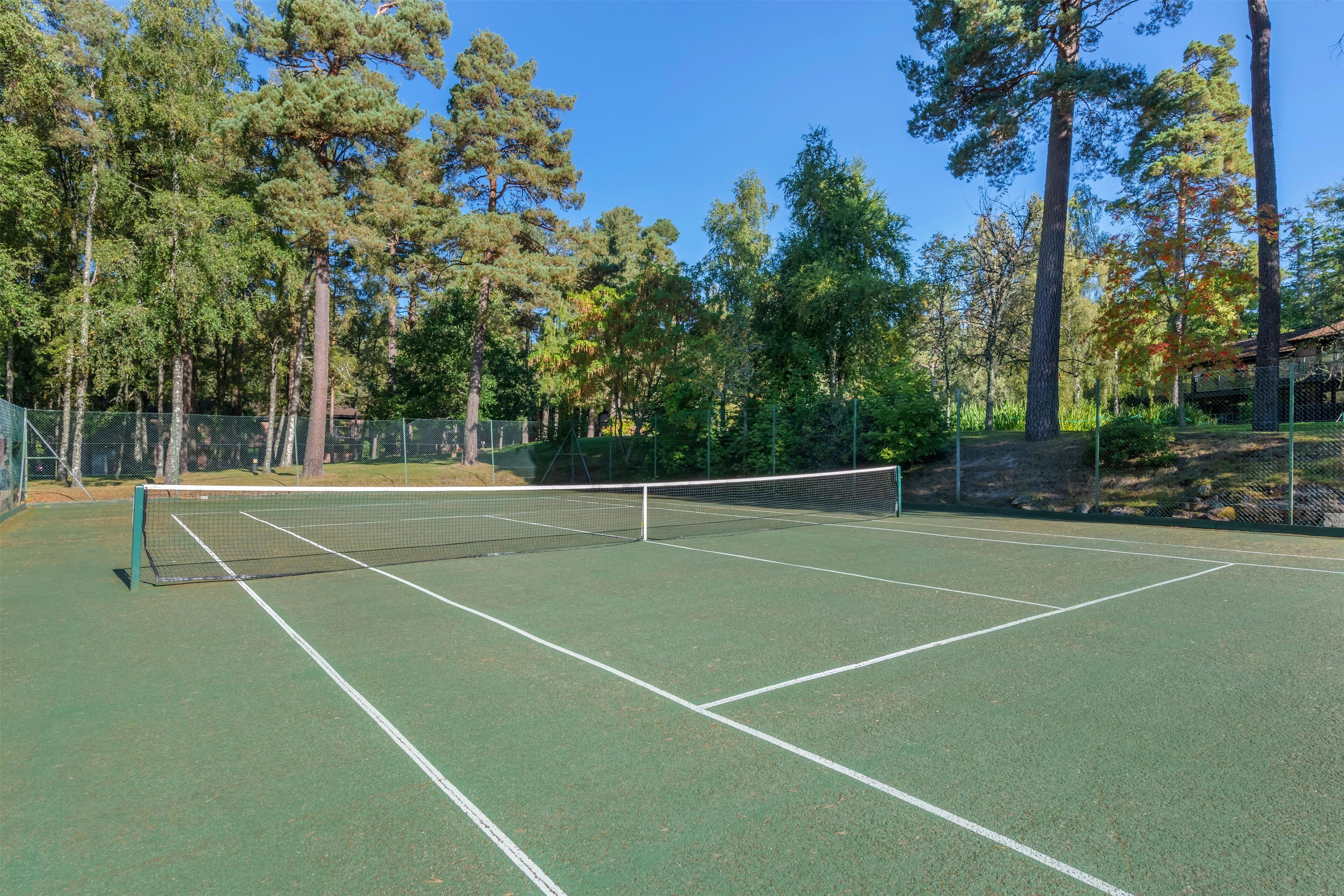 Una cancha de tenis rodeada de árboles altos y un cielo azul despejado.