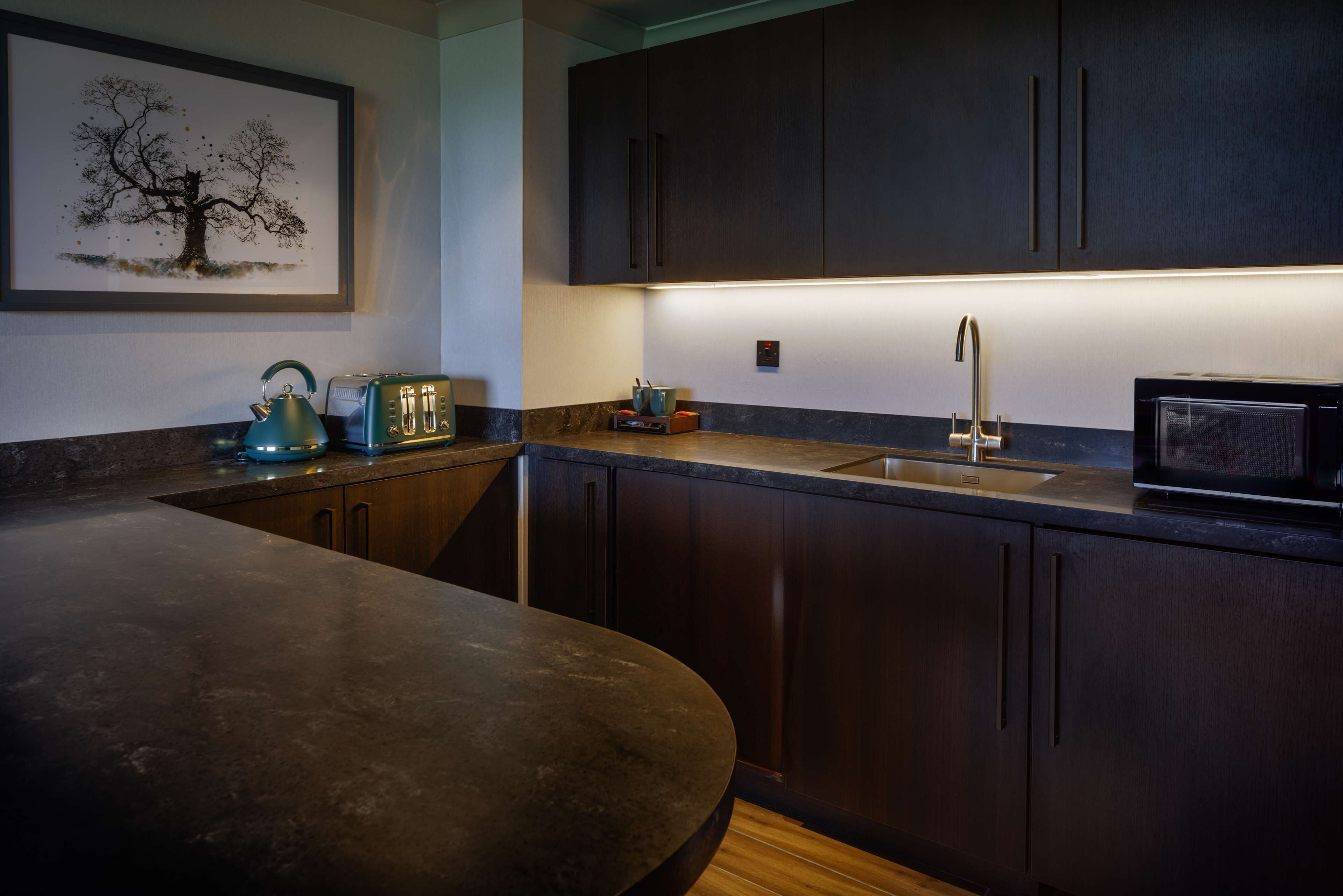 deluxe suite, 1 king bed | private kitchen | electric kettle