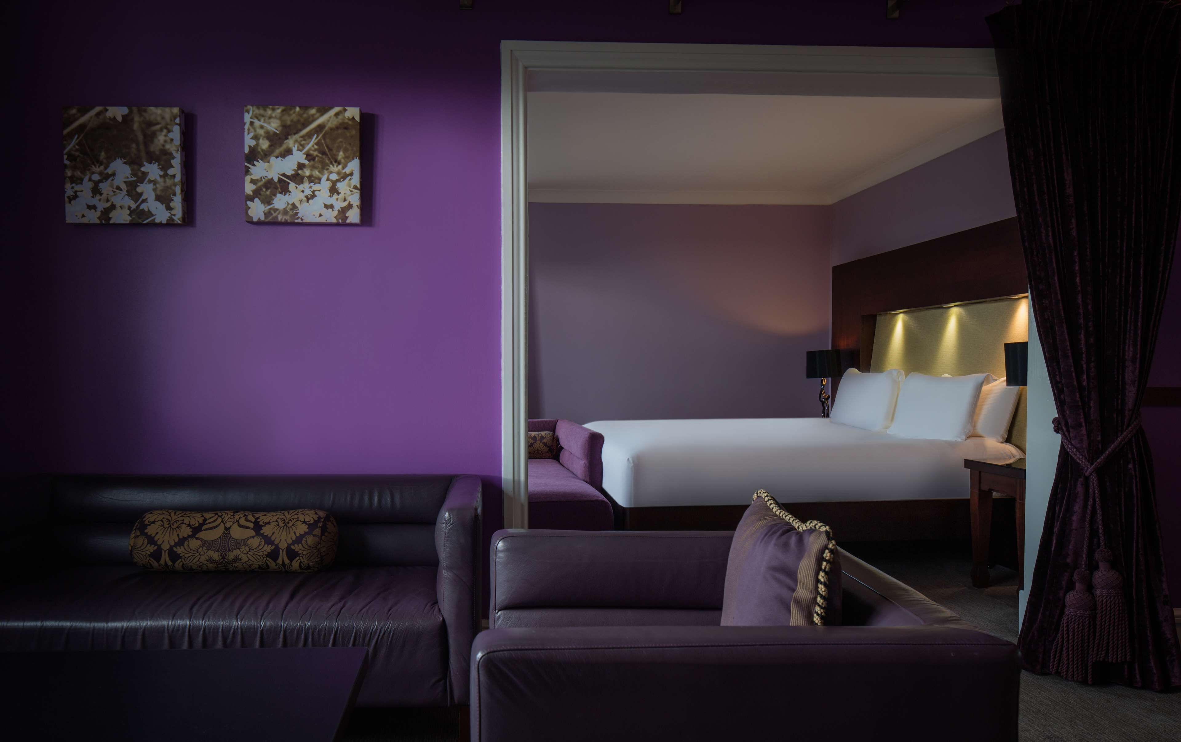 A hotel room with a purple wall, a bed with white linens, a dark leather sofa, and two framed pictures on the wall.