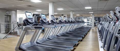 A gym with multiple treadmills lined up in rows.