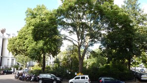 Unclassified image, 4 of 28, button - Notting Hill Hotel (London)