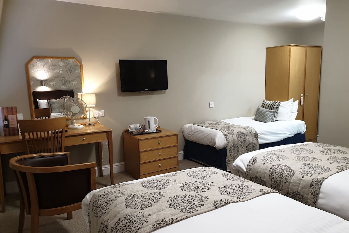 Twin kamer, 2 eenpersoonsbedden | Een bureau, geluiddichte muren, een strijkplank/strijkijzer, gratis wifi
