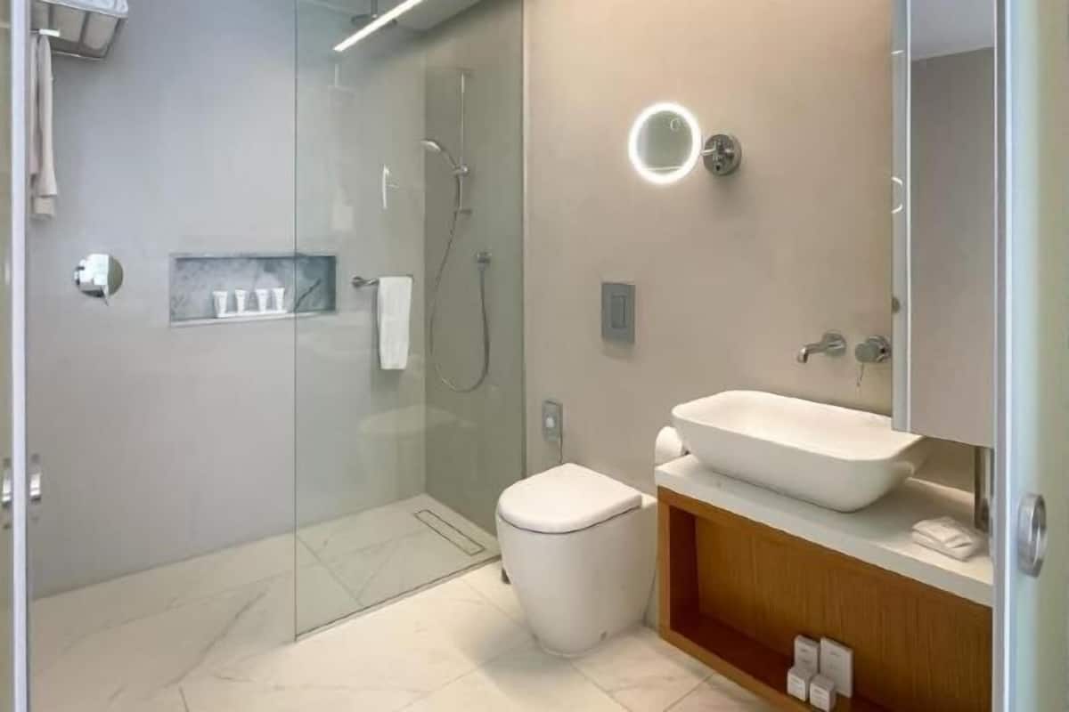 Shower, free toiletries, hair dryer