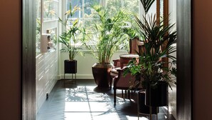 A hallway with a large arched window, potted plants, and a chandelier. - Raffles Europejski Warsaw (Warsaw)