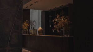 منطقة الاستقبال