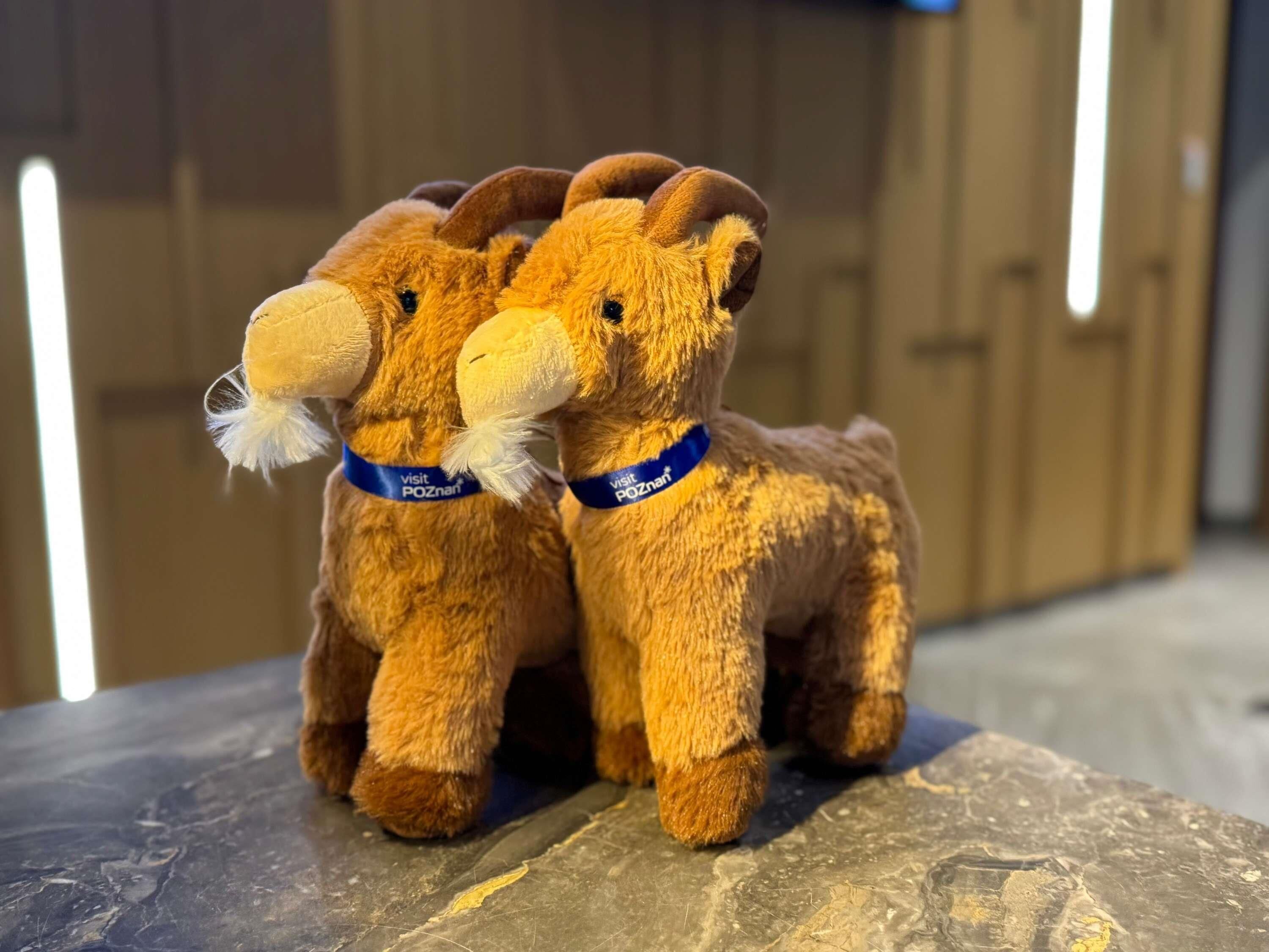 Deux peluches avec des colliers bleus, posées sur une surface texturée.