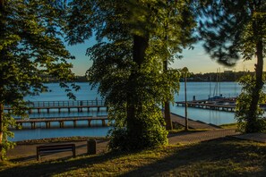 Sit and enjoy the serene lakeside view from a bench near the wooden pier.