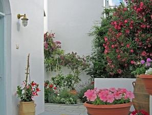En smal innergård med vita väggar, en krukväxt med rosa blommor och en väggmonterad lampa.