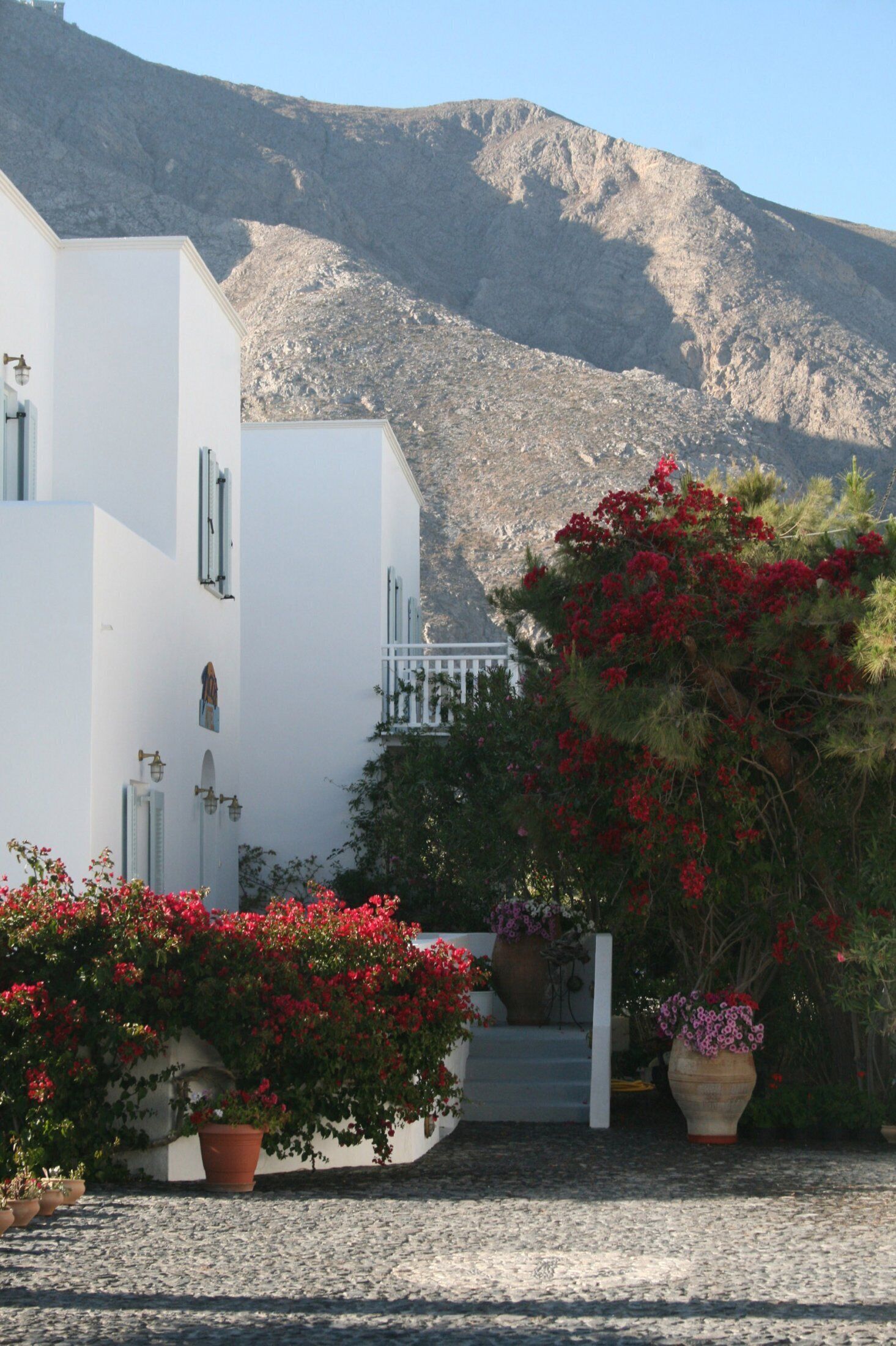 Photo - SPIROS & HIROKO Hotel - ADULTS ONLY