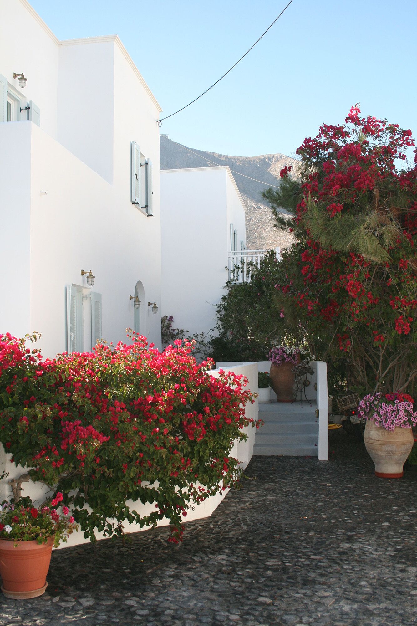 Photo - SPIROS & HIROKO Hotel - ADULTS ONLY