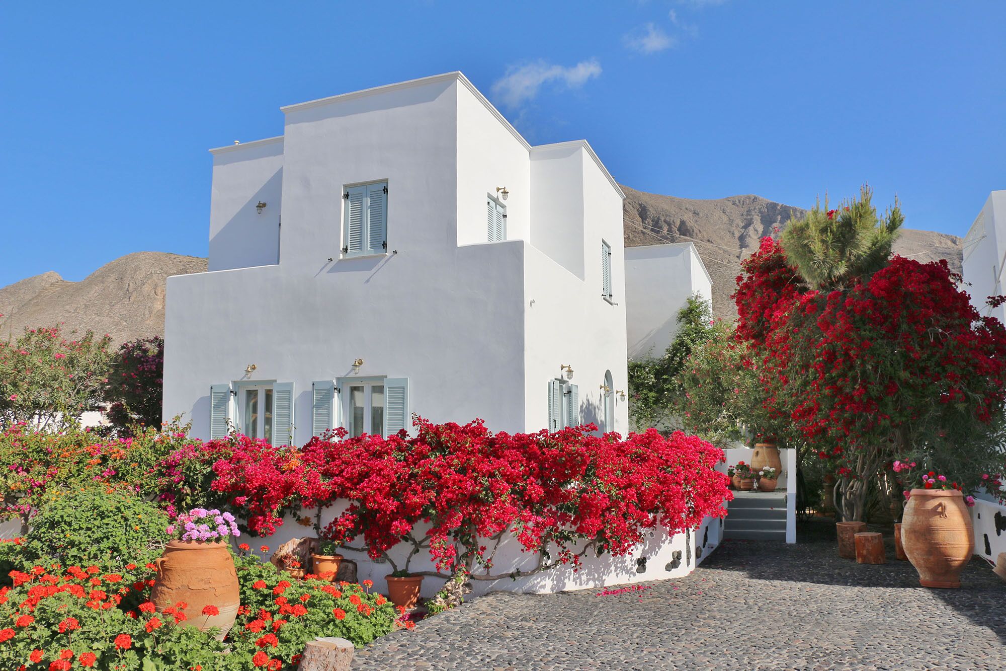 Photo - SPIROS & HIROKO Hotel - ADULTS ONLY