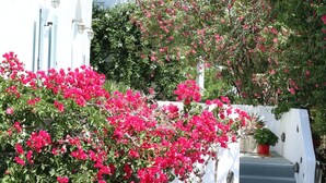 A white building with pink bougainvillea climbing up the walls, a potted plant on the ground, and a staircase leading up to the entrance. - Spiros & Hiroko Hotel - Adults Only (Santorini)