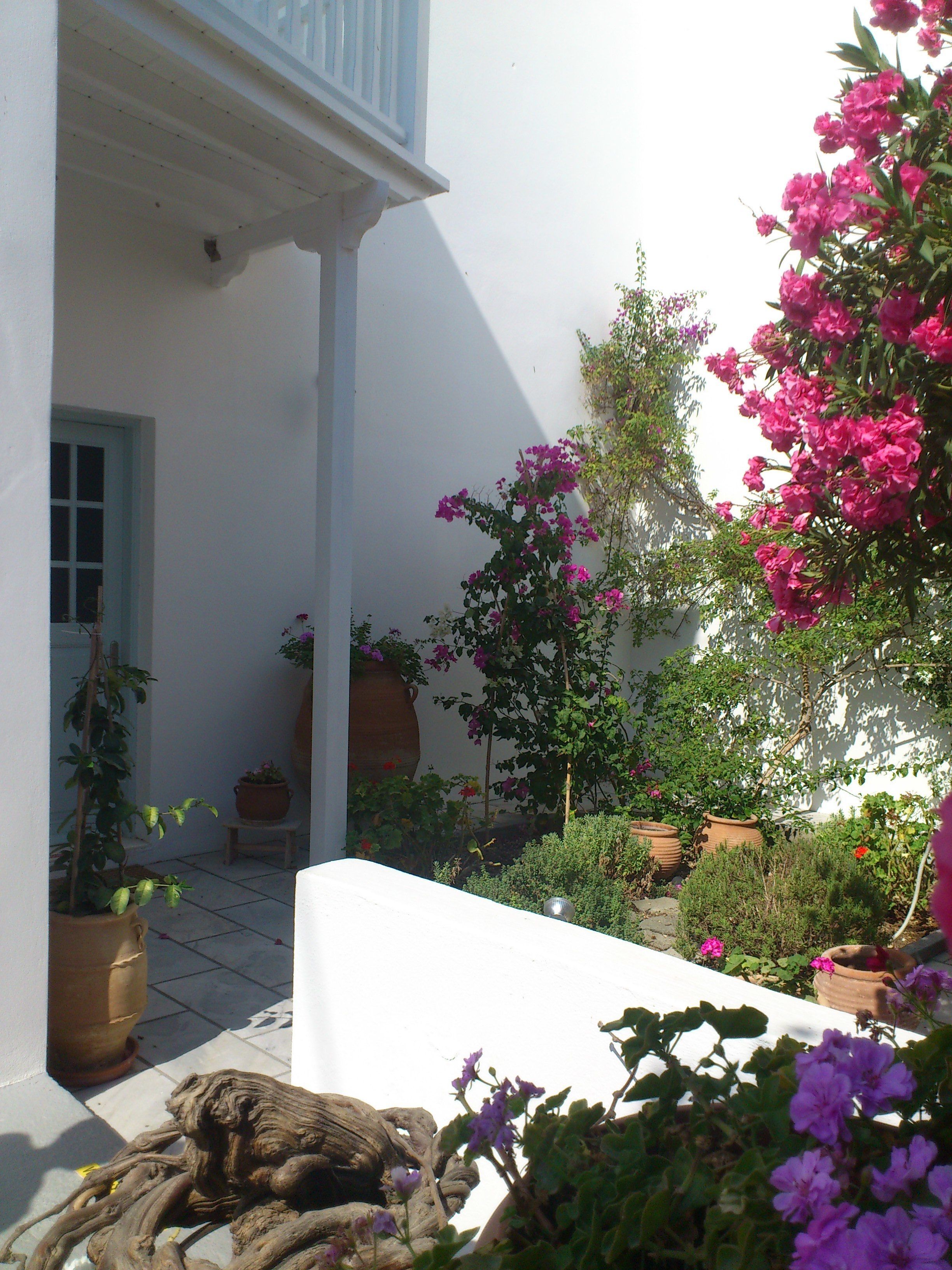 Photo - SPIROS & HIROKO Hotel - ADULTS ONLY