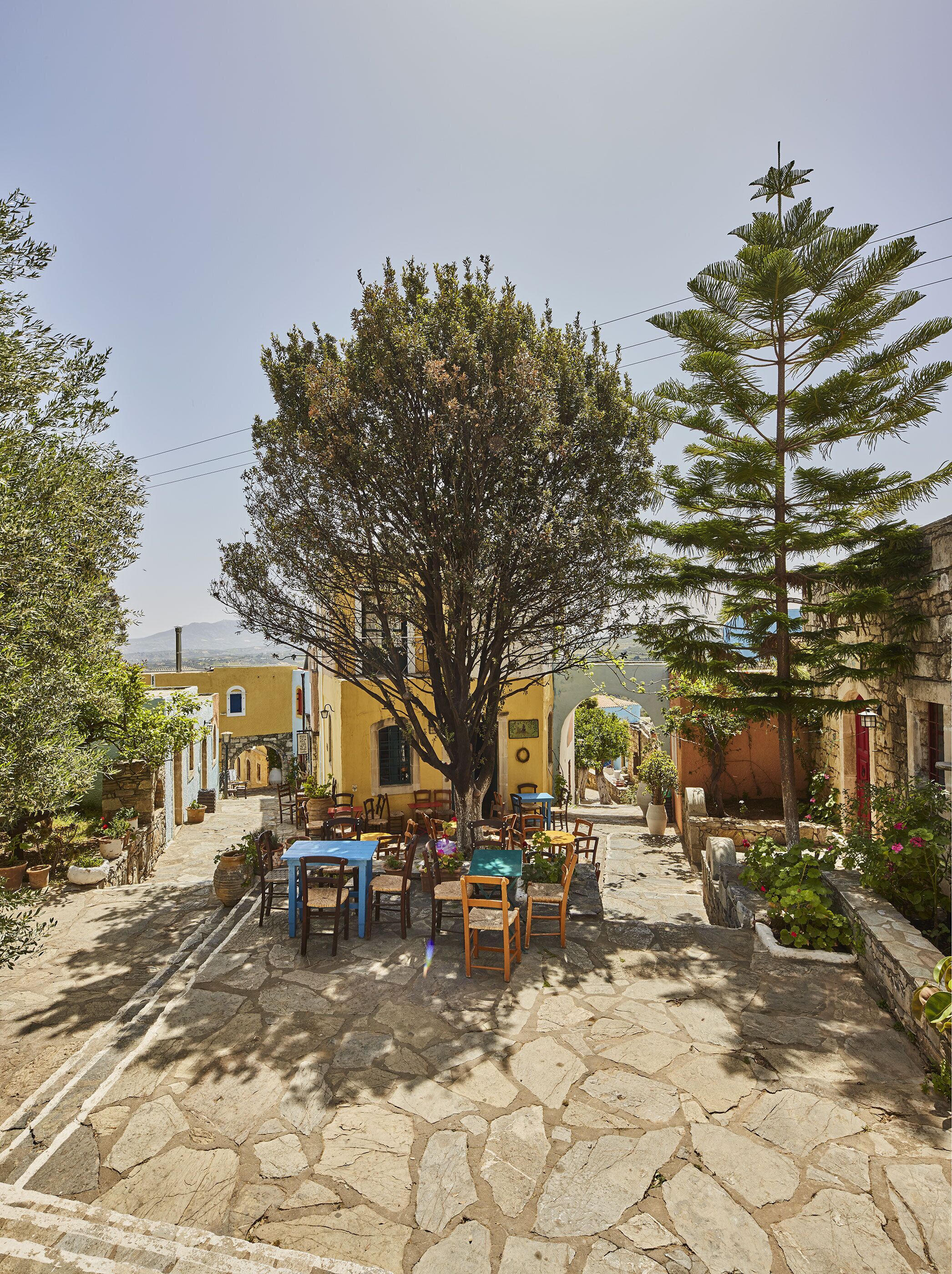 Un patio con suelo de piedra, mobiliario exterior y un gran árbol en el centro.