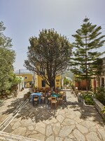 Un patio con suelo de piedra, mobiliario exterior y un gran árbol en el centro.
