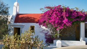 Un edificio blanco con techo rojo, una cruz en la parte superior y un gran árbol de buganvilla en primer plano.
