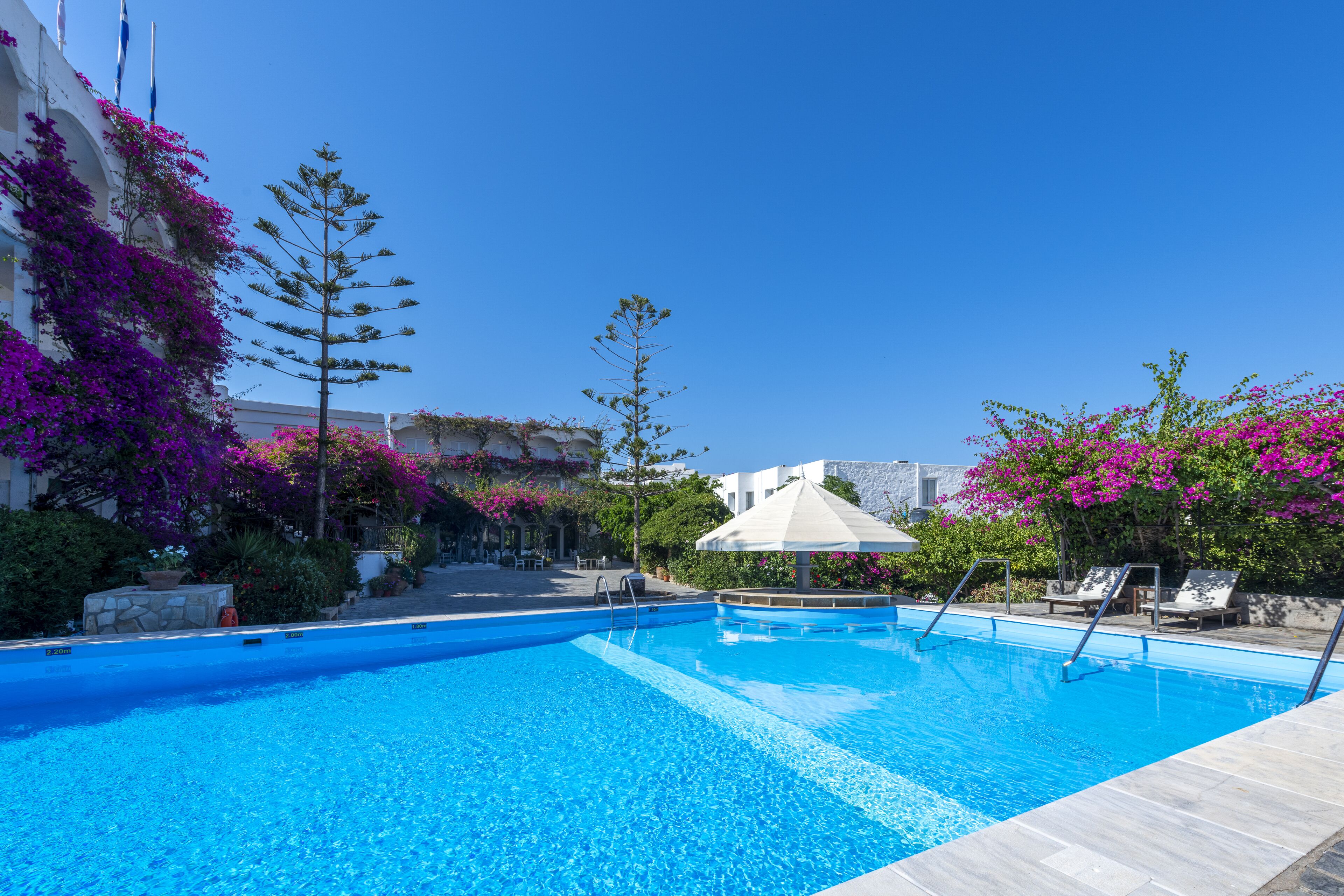 seasonal outdoor pool, open 8:00 am to 8:00 pm, pool loungers