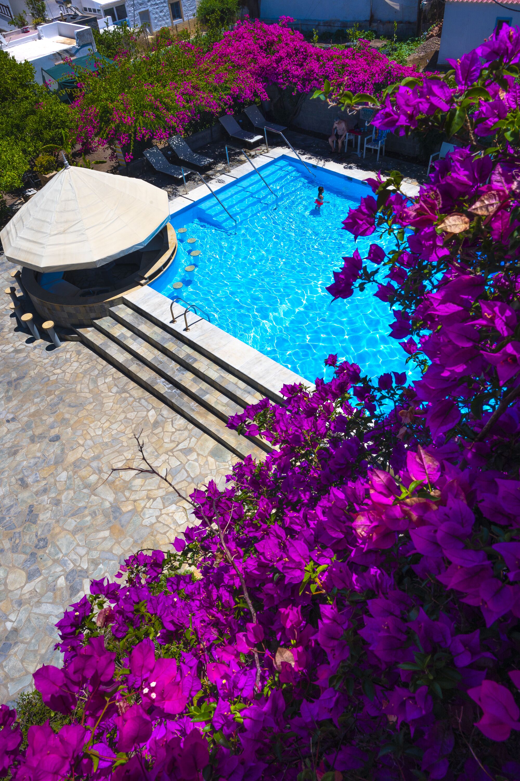 Ein Schwimmbecken mit Liegestühlen und einer überdachten Sitzecke, umgeben von leuchtend purpurfarbenen Bougainvillea-Blumen.