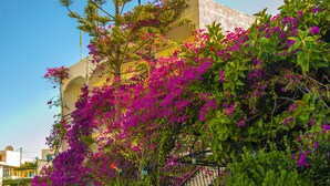 Un bâtiment doté d’un escalier, entouré d’une végétation luxuriante et de fleurs d’un violet éclatant.