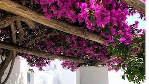 Una escalera encalada que sube hacia un edificio, rodeada de vibrantes flores de buganvilla moradas.