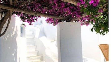 Dış mekân