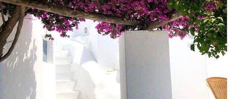 A white-washed staircase leading up to a building, surrounded by vibrant purple bougainvillea flowers.
