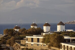 Vista desde la propiedad
