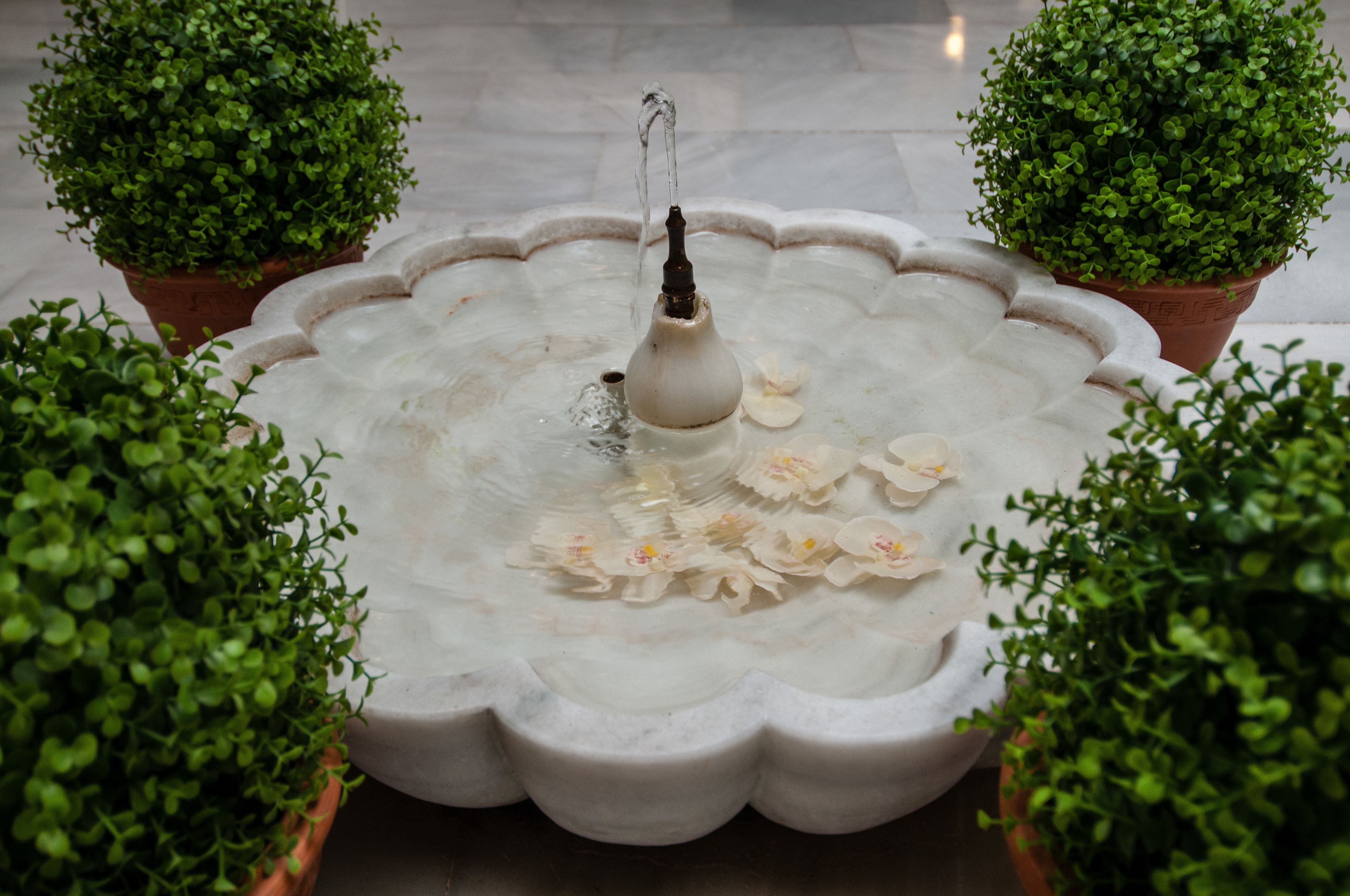 A fountain with water spouting from a central nozzle, surrounded by a scalloped edge basin.