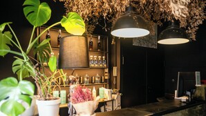 Una zona de bar con estantes llenos de botellas, una barra y plantas colgantes.