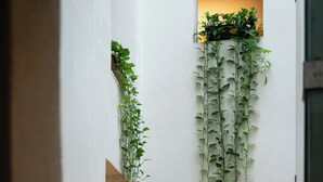 Un pasillo con instalaciones verticales de plantas y un cuadro en la pared.
