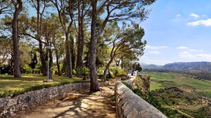 Un sendero de piedra en un parque con árboles y vistas de un valle.