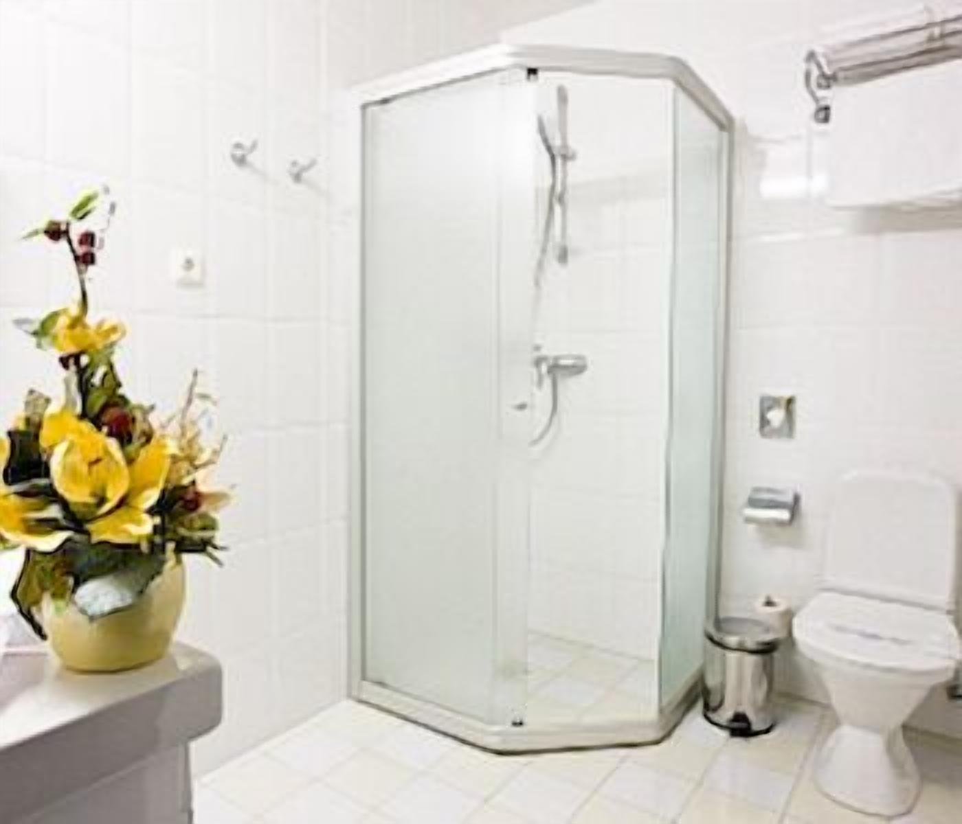 Un baño con ducha envuelta en vidrio, inodoro y un florero con flores en la encimera.