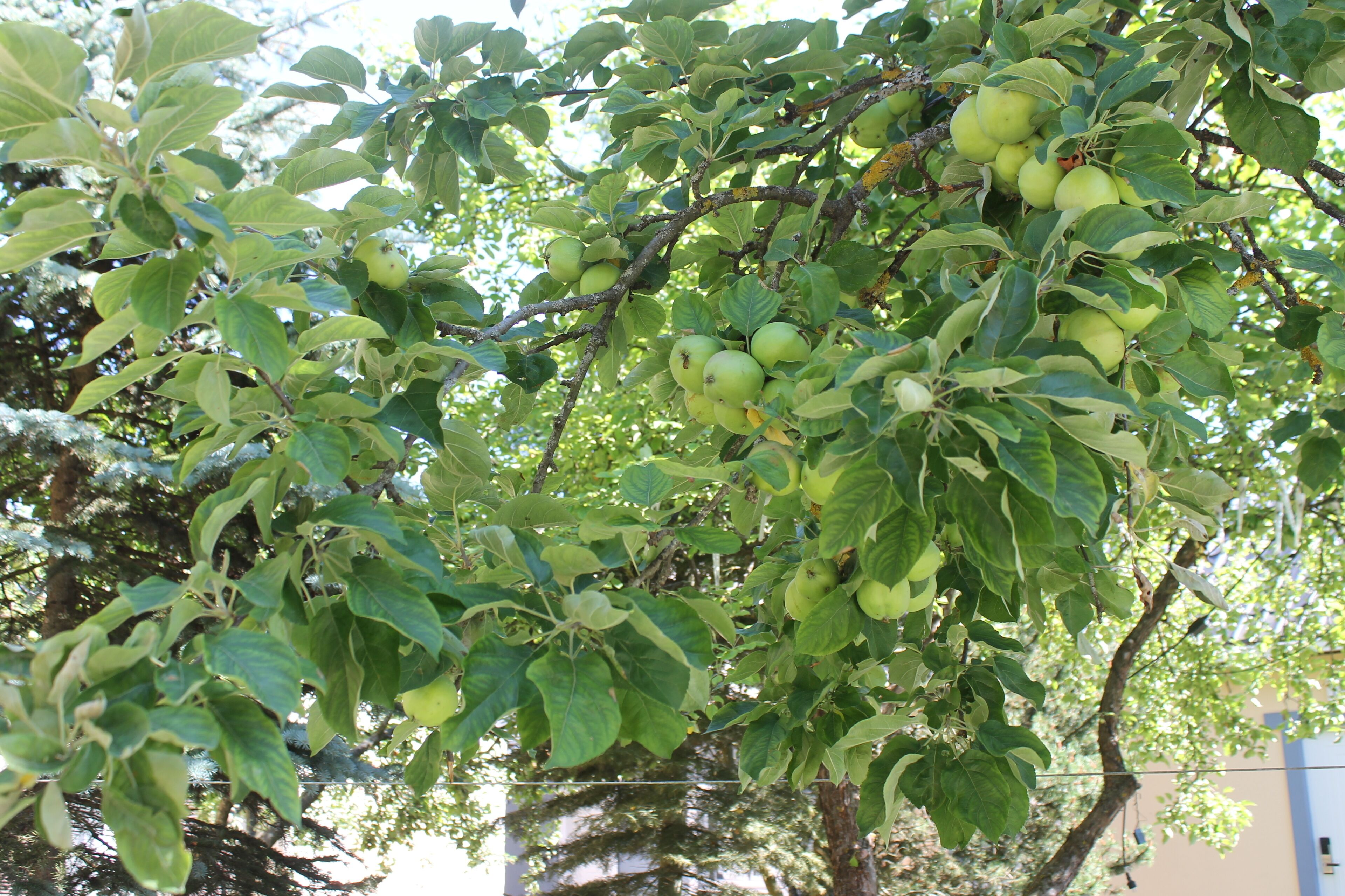 Photo - Ecoland Hotel