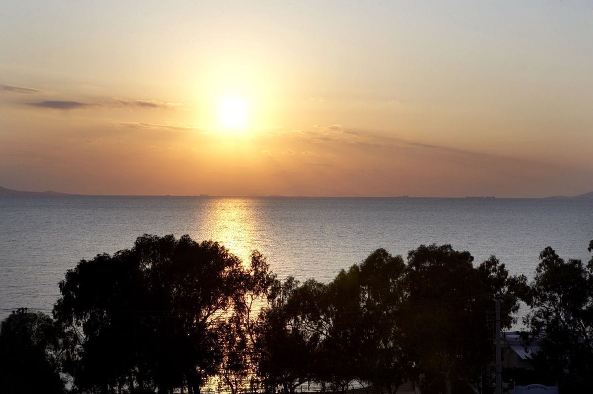 Foto - Amarilia Hotel