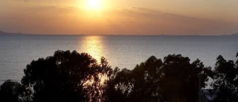 A sunset over a calm sea with silhouettes of trees in the foreground.
