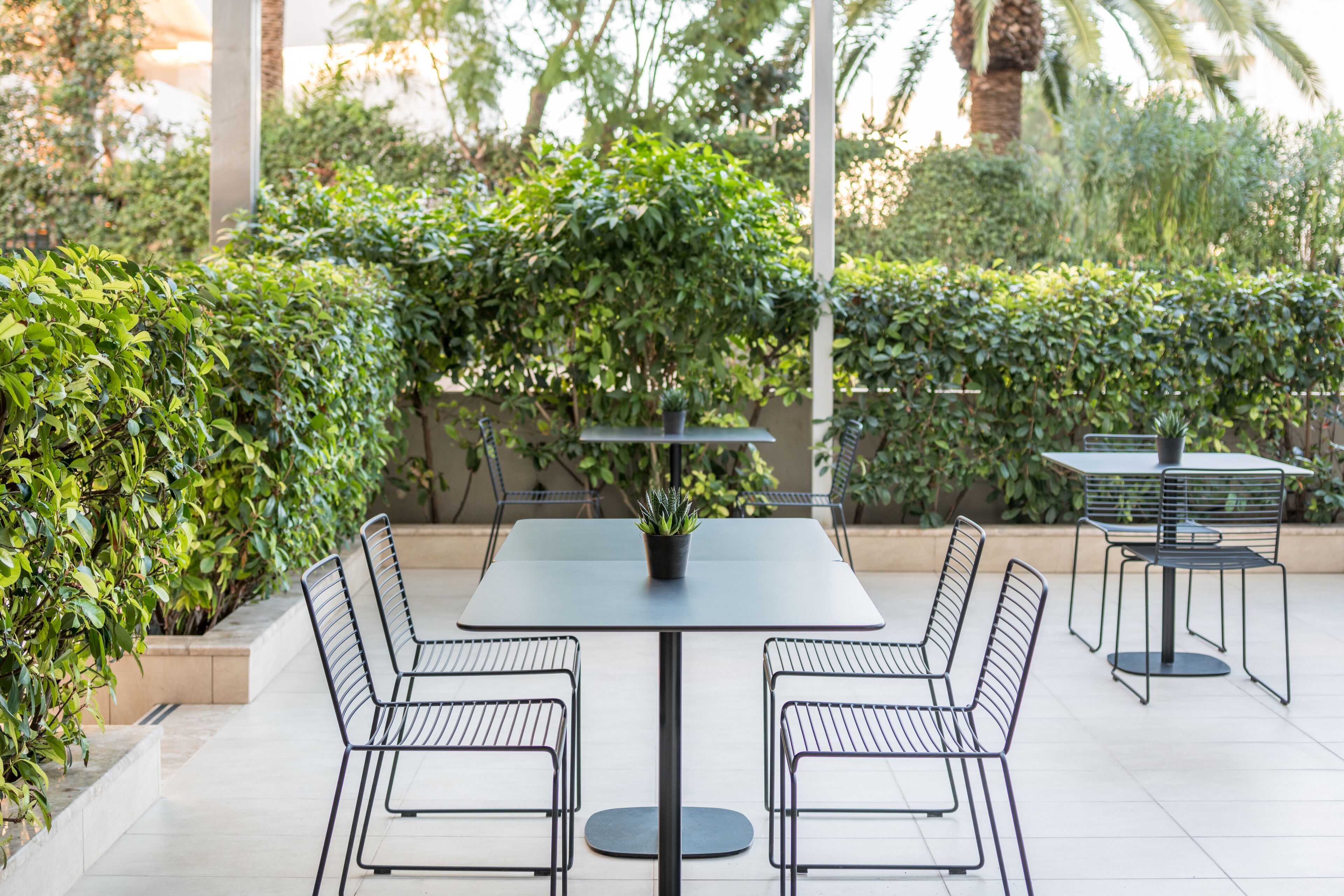 Foto - Amarilia Hotel