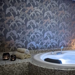 Sauna, hot tub, steam room, Turkish bath, body treatments, hydrotherapy