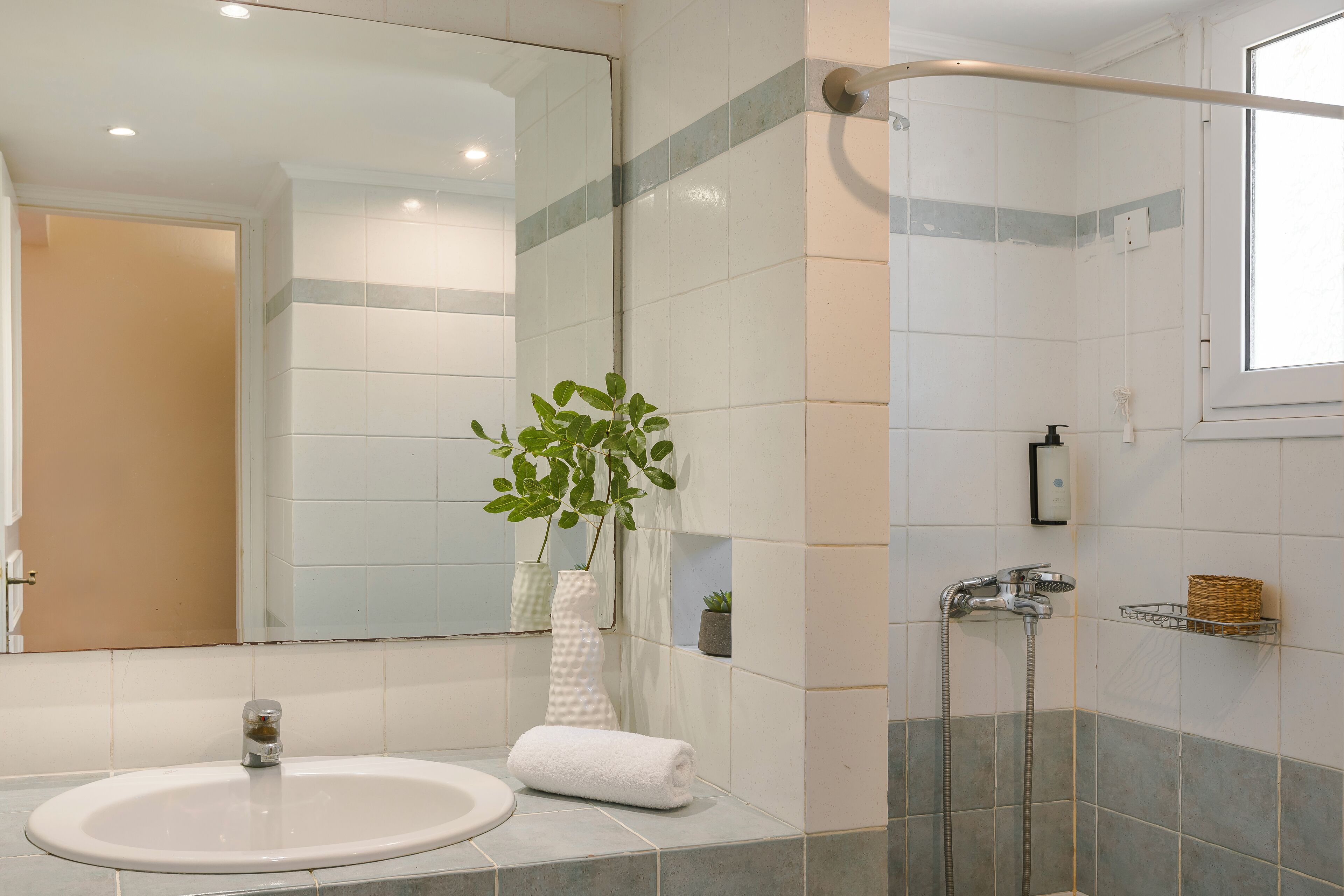 A bathroom with a sink, mirror, shower, and a plant.