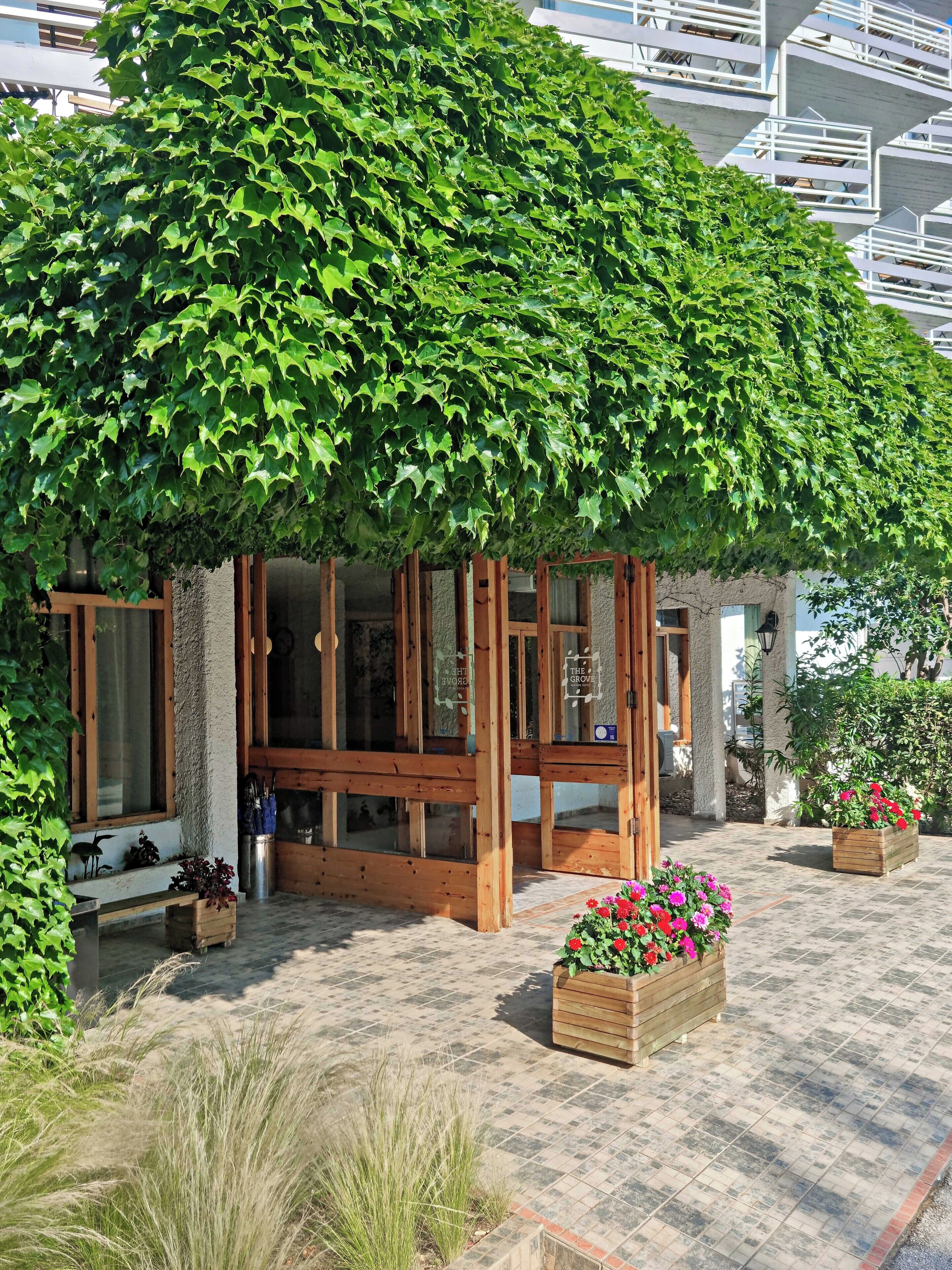 A covered wooden structure with a pergola, wooden benches, and flower planters.