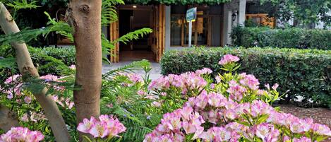 Un edificio con fachada blanca, un árbol en primer plano y flores rosadas al frente.