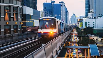 A train on elevated tracks with a cityscape in the background.