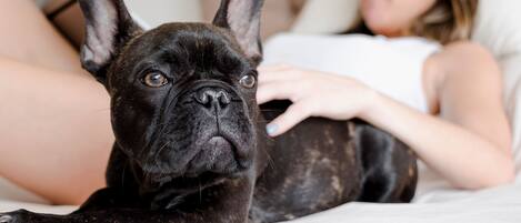 A person lying on a bed with a black dog.
