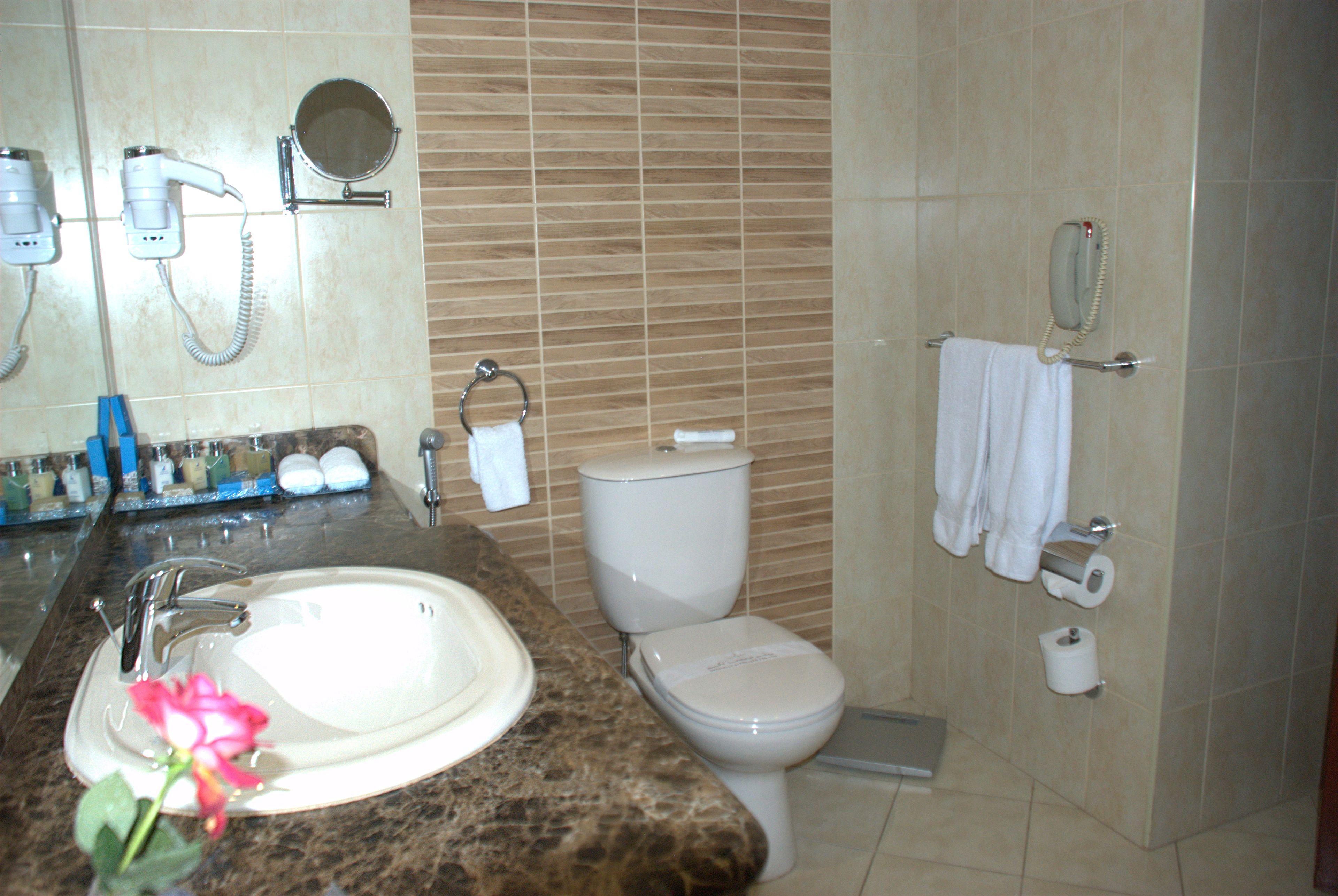 combined shower/bathtub, deep-soaking bathtub, eco-friendly toiletries