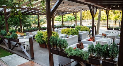Jolly Alon Hotel
