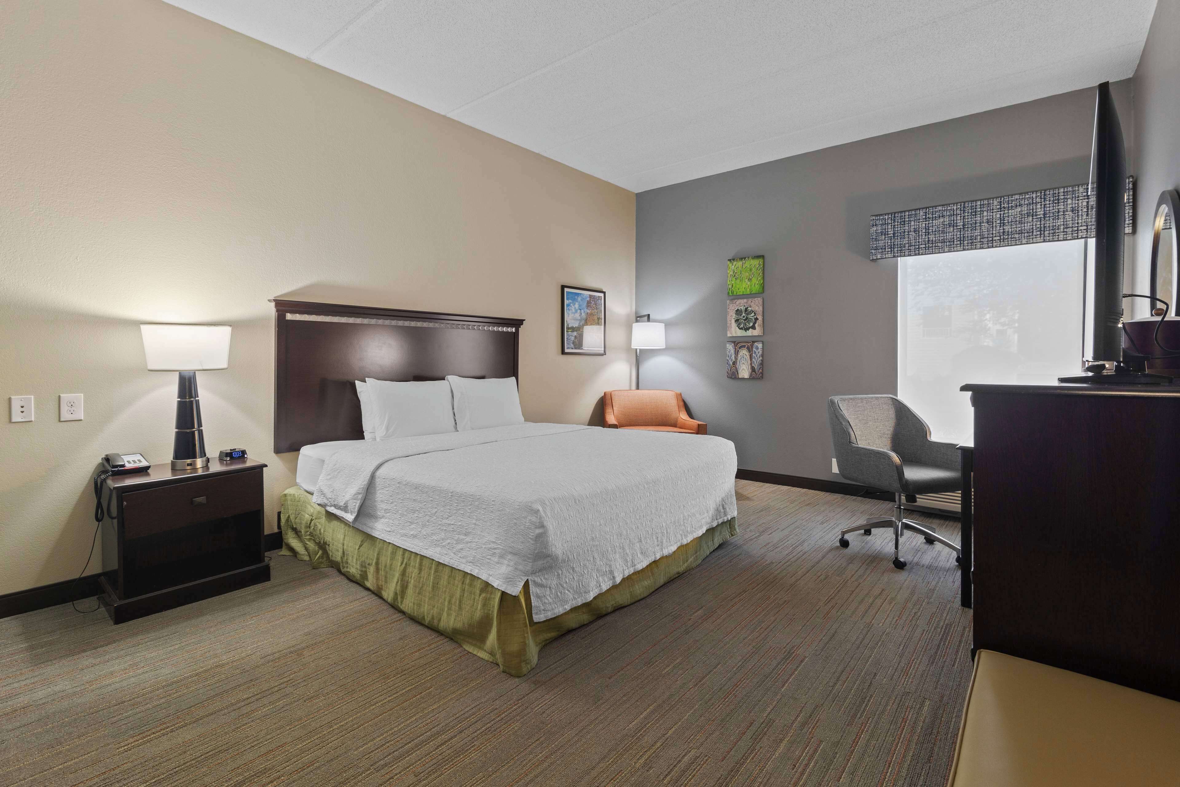 A hotel room with a bed, bedside table, lamp, chair, desk, and window.